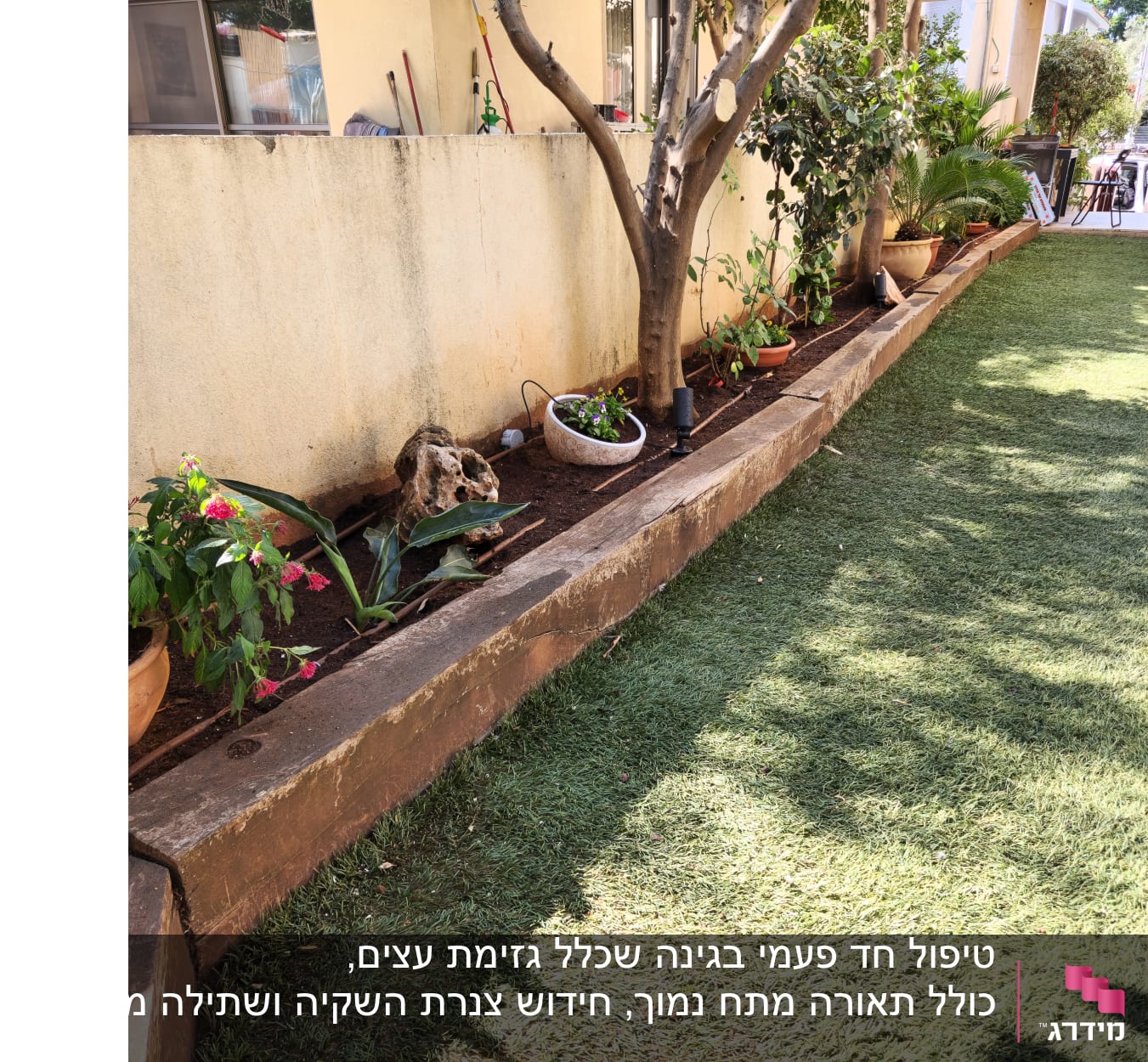 טיפול חד פעמי בגינה שכלל גזימת עצים, כולל תאורה מתח נמוך, חידוש צנרת השקיה ושתילה מחודשת.